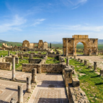 Gemini_Generated_Image_l45r6ol45r6ol45r