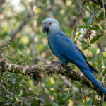 Gemini_Generated_Image_yw9o12yw9o12yw9o